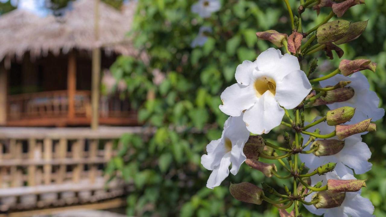 Onong'S Homestay & Cafe Tomohon Eksteriør bilde